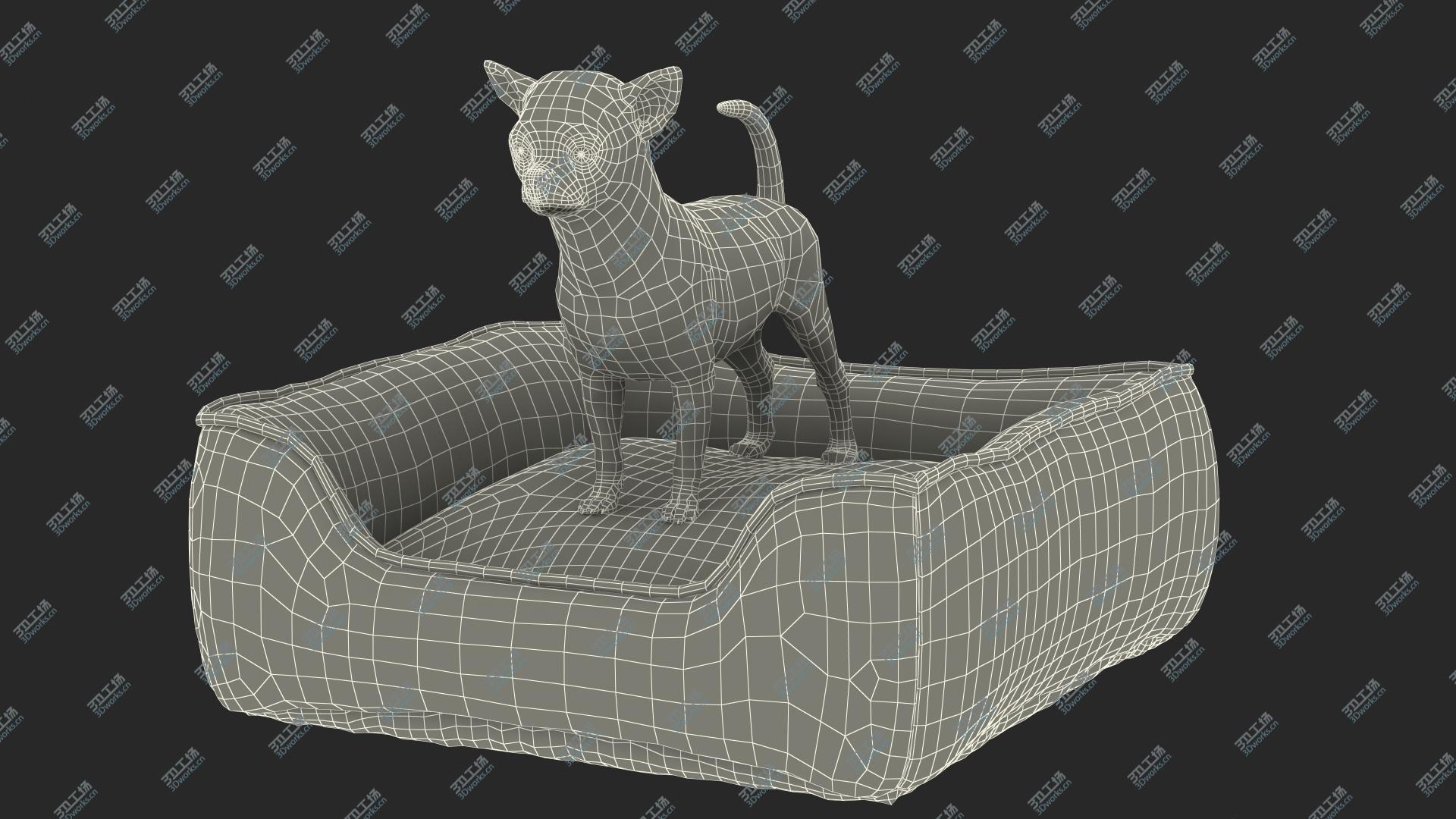 images/goods_img/202104021/3D Chihuahua in Dog Bed with Fur model/4.jpg